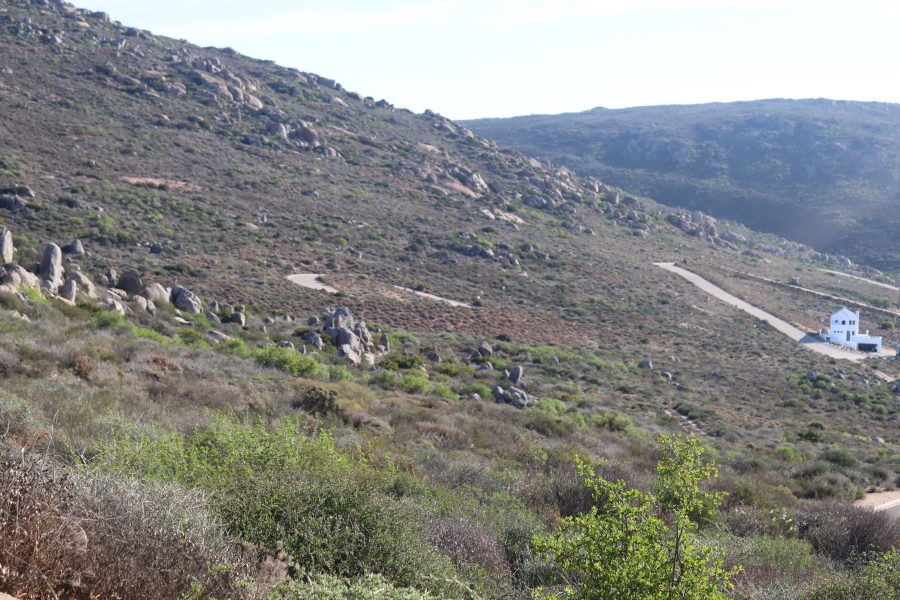 0 Bedroom Property for Sale in Steenbergs Cove Western Cape